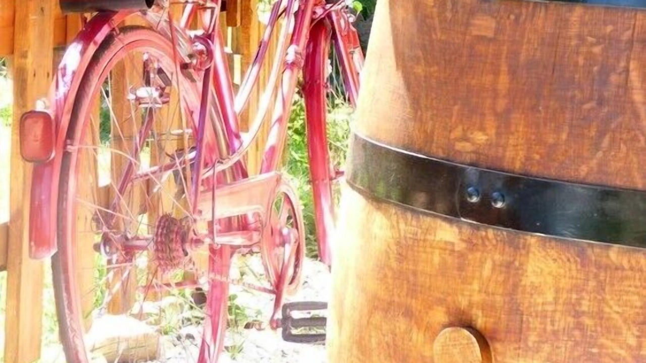 Photo of Outdoor in San Casciano in Val di Pesa