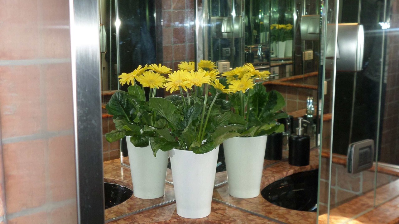 Photo of Bathroom in San Niccolo