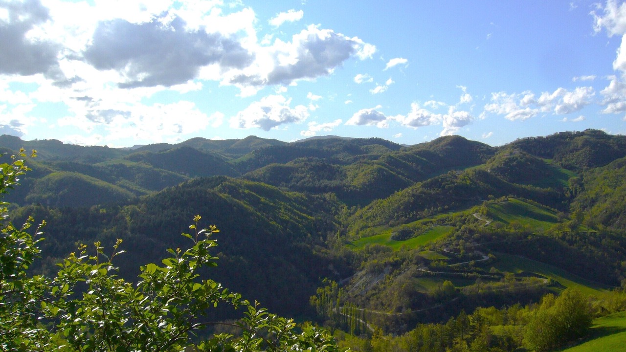 Photo of Others in Urbino