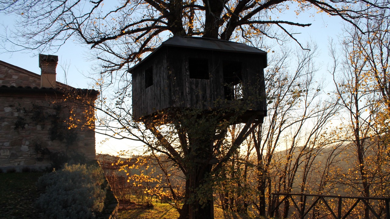 Photo of Others in Urbino