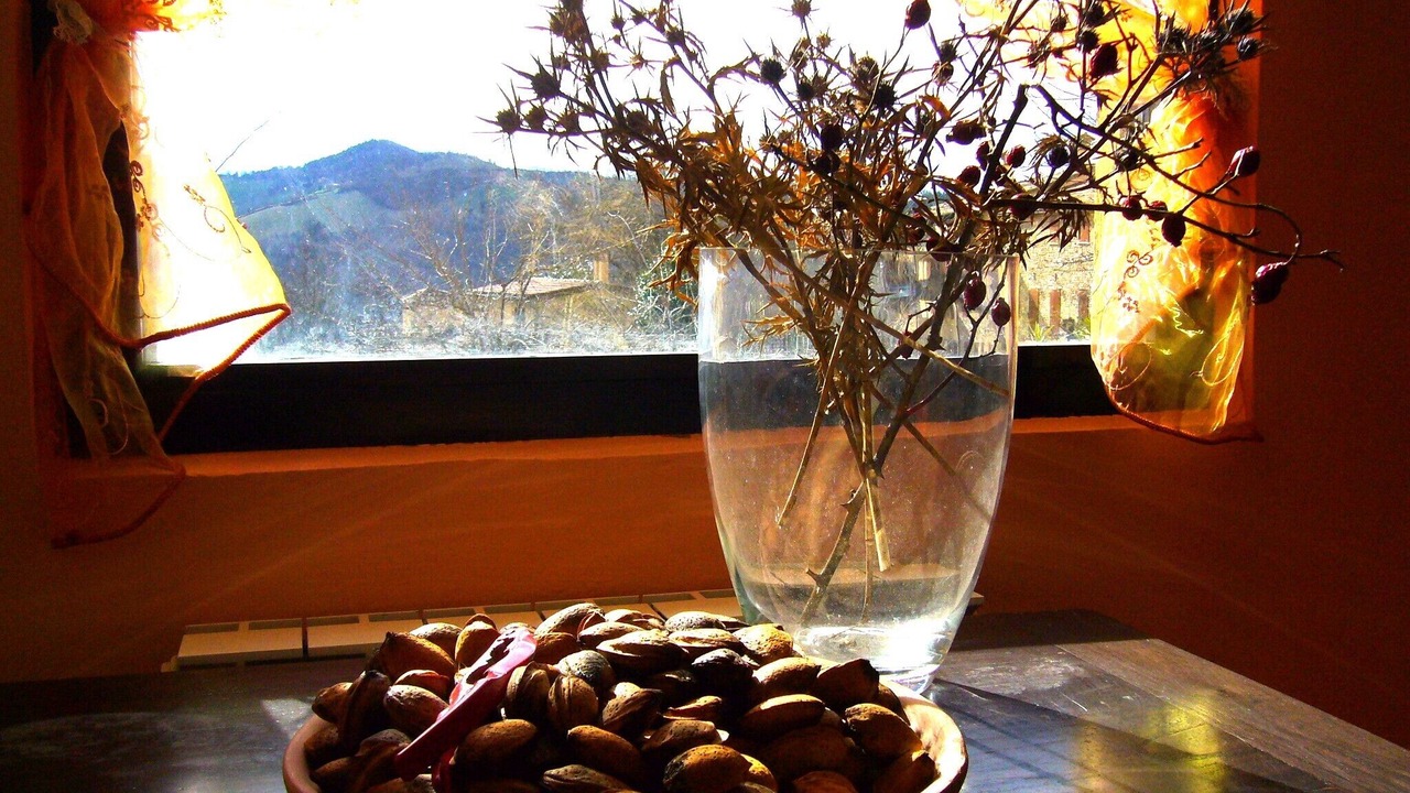 Photo of Others in Urbino