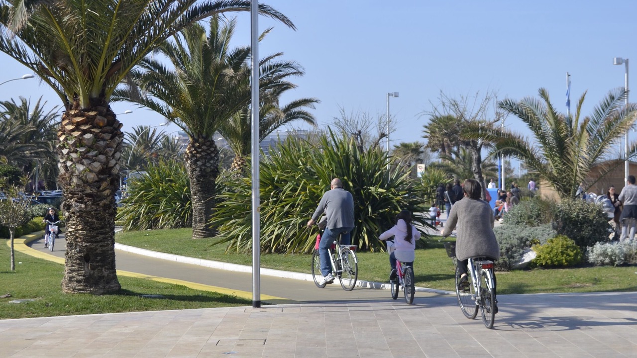 Photo of Others in Civitanova Marche