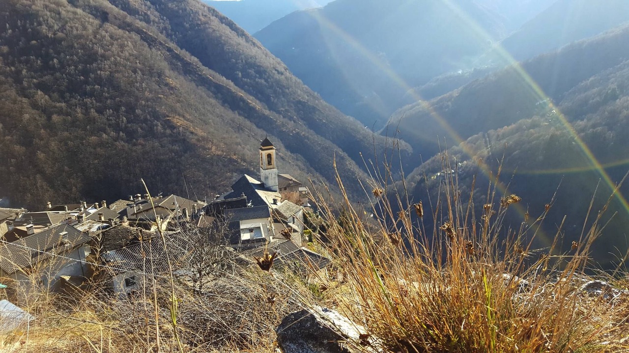 Photo of Others in Spoccia