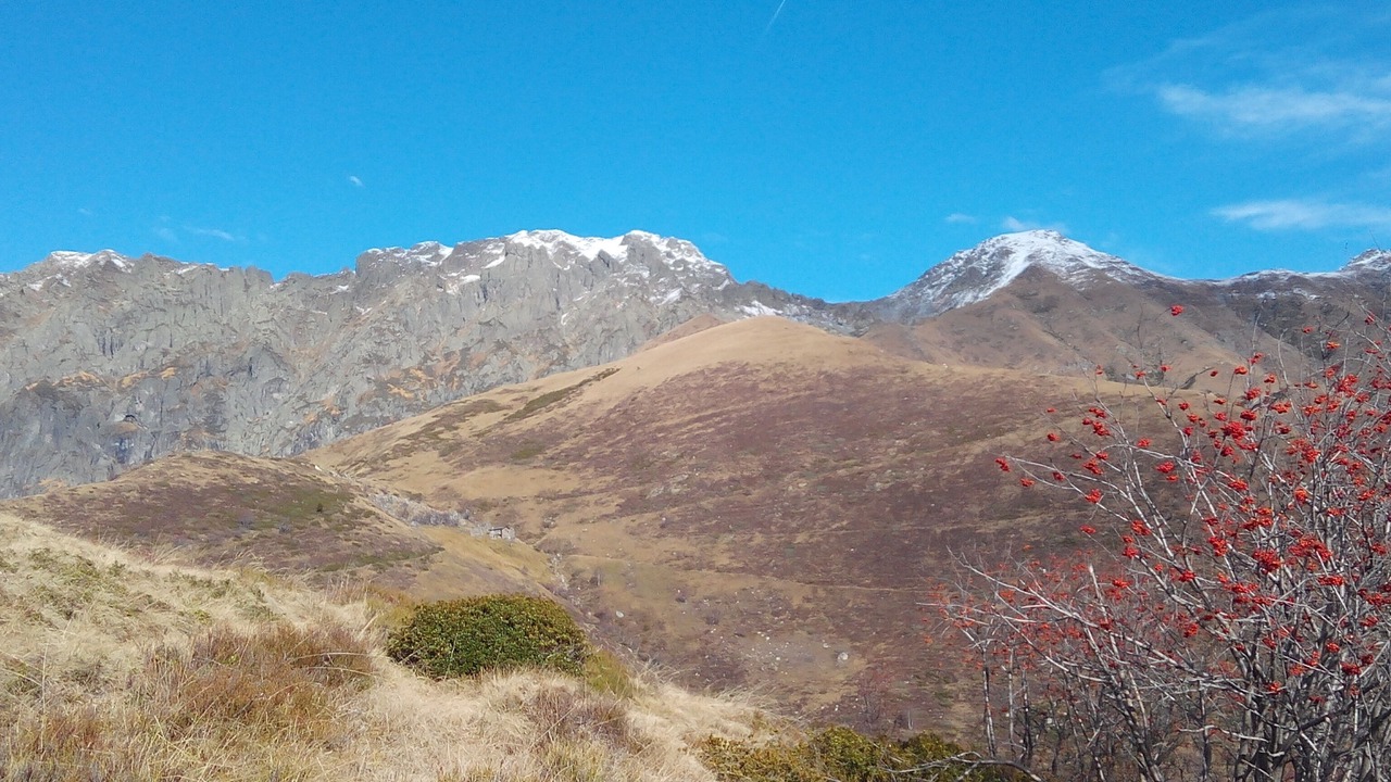 Photo of Others in Spoccia