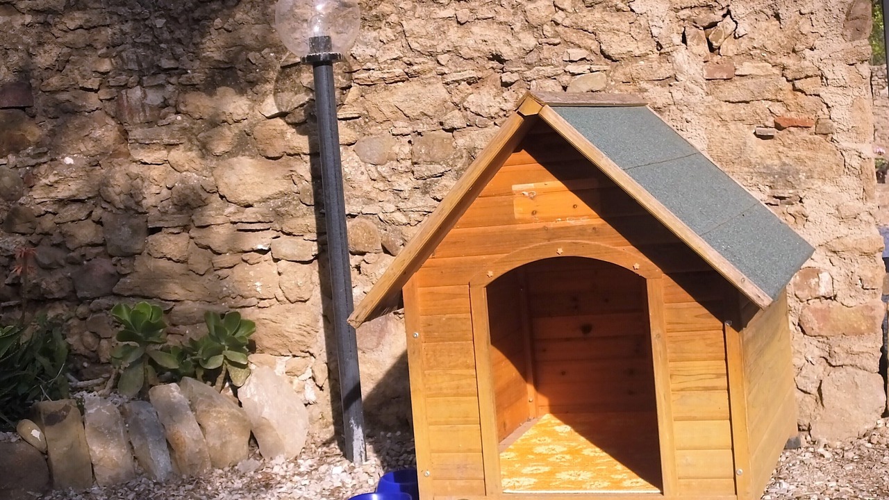 Photo of Others in San Marco di Castellabate