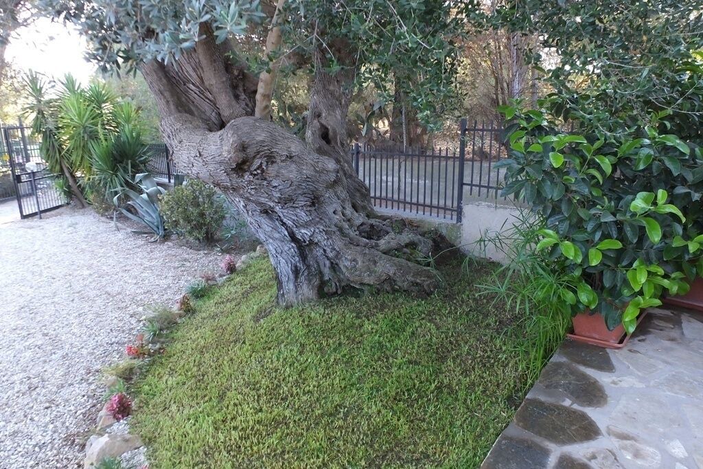 Photo of Outdoor in San Marco di Castellabate