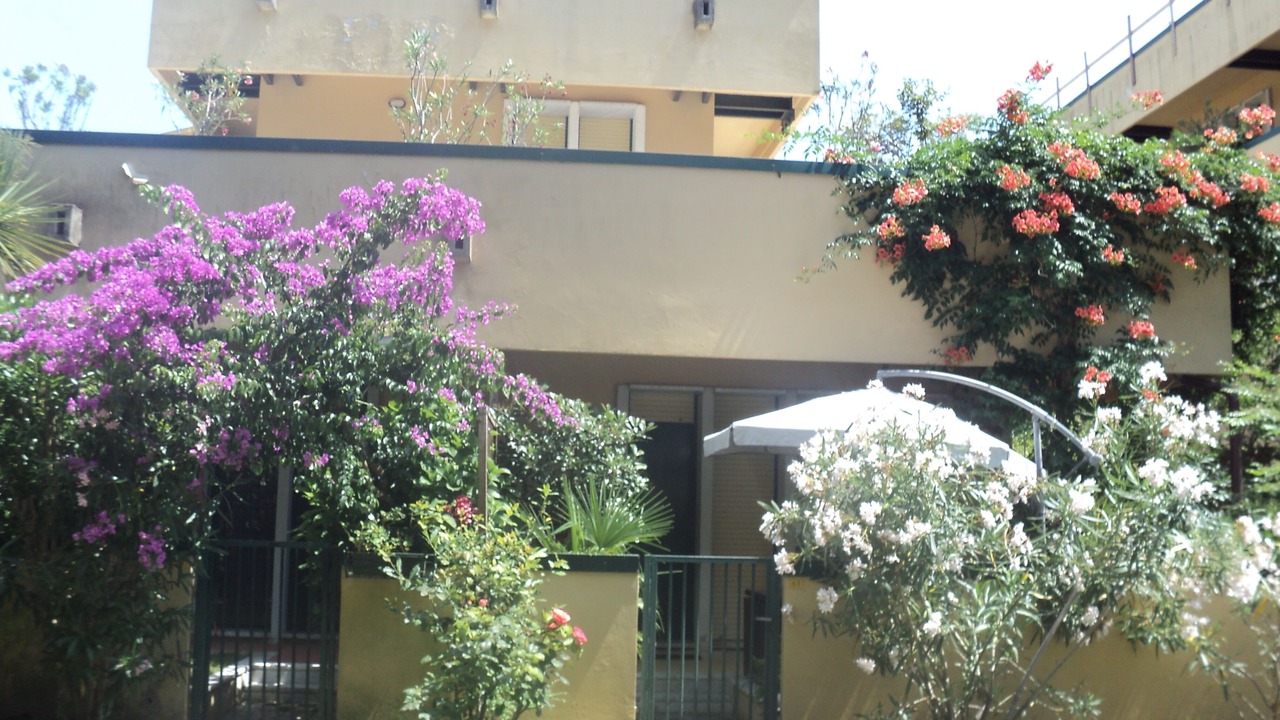 Photo of Outdoor in Cinquale