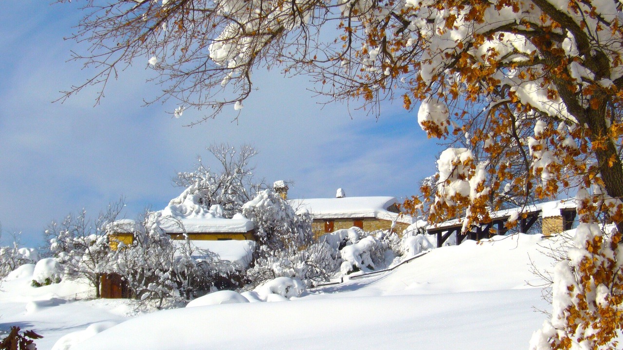 Photo of Outdoor in Urbino
