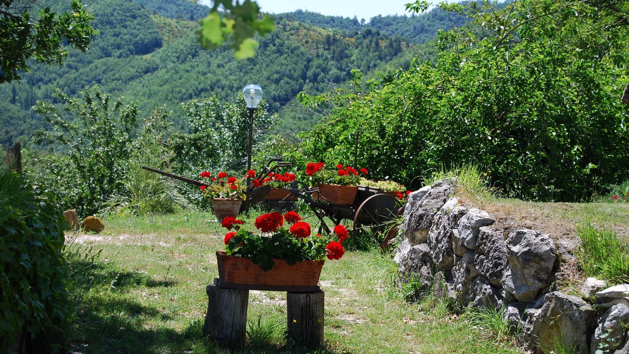 Photo of Outdoor in Urbino