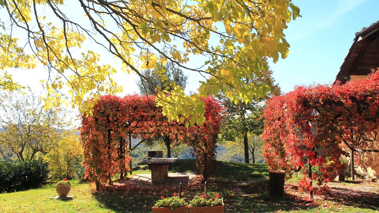 Photo of Outdoor in Urbino