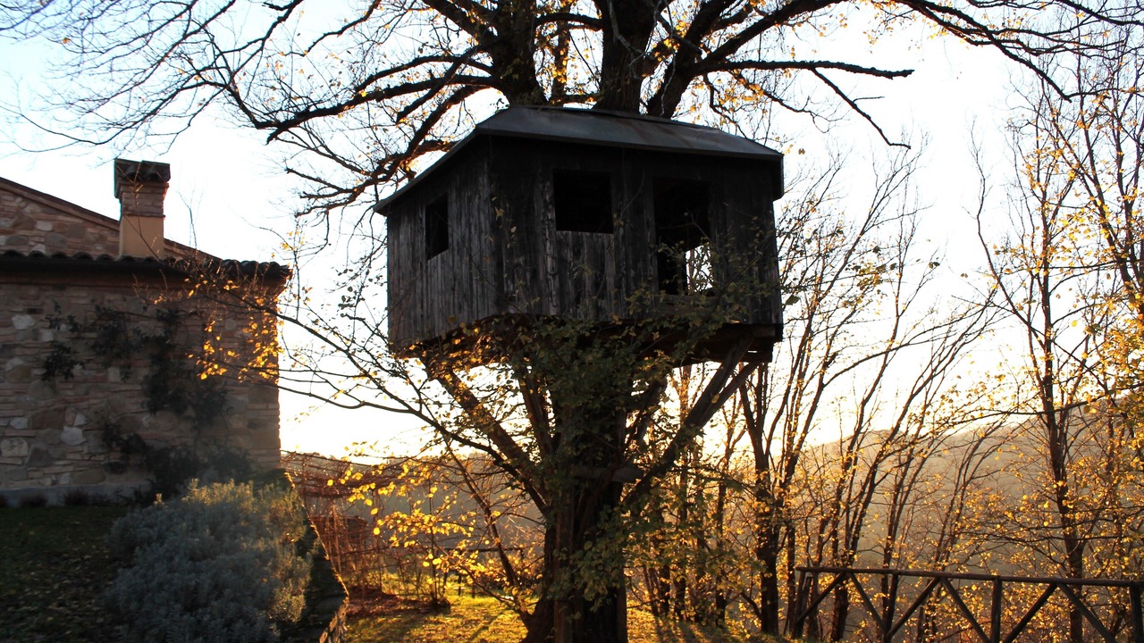 Photo of Outdoor in Urbino