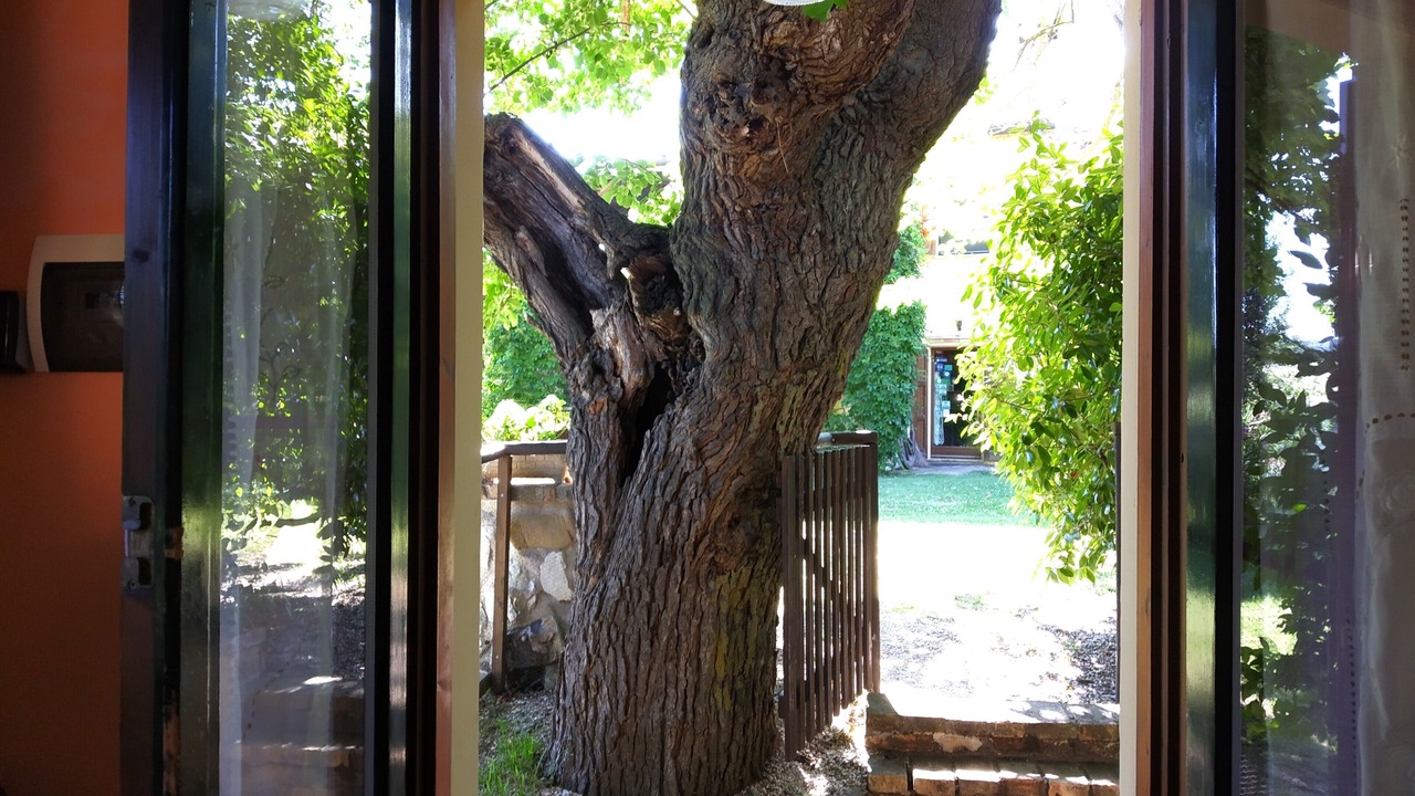 Photo of Others in Urbino