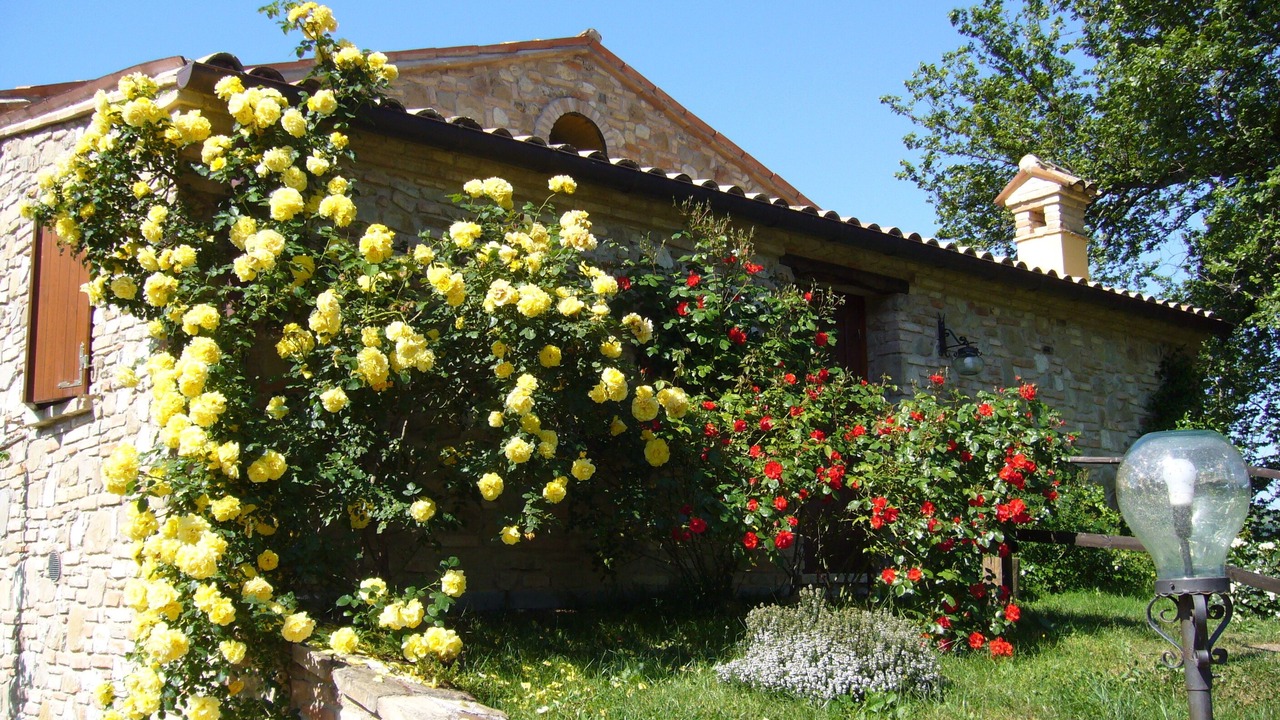 Photo of Outdoor in Urbino