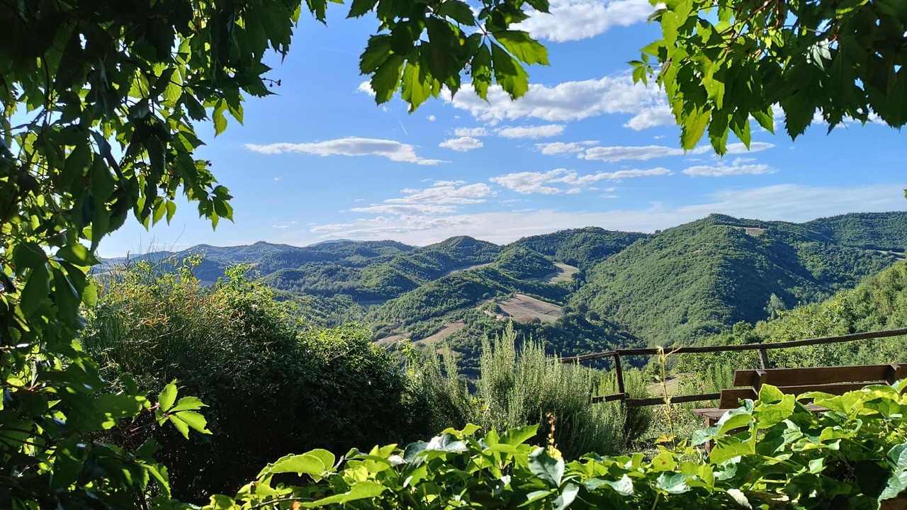 Photo of Others in Urbino