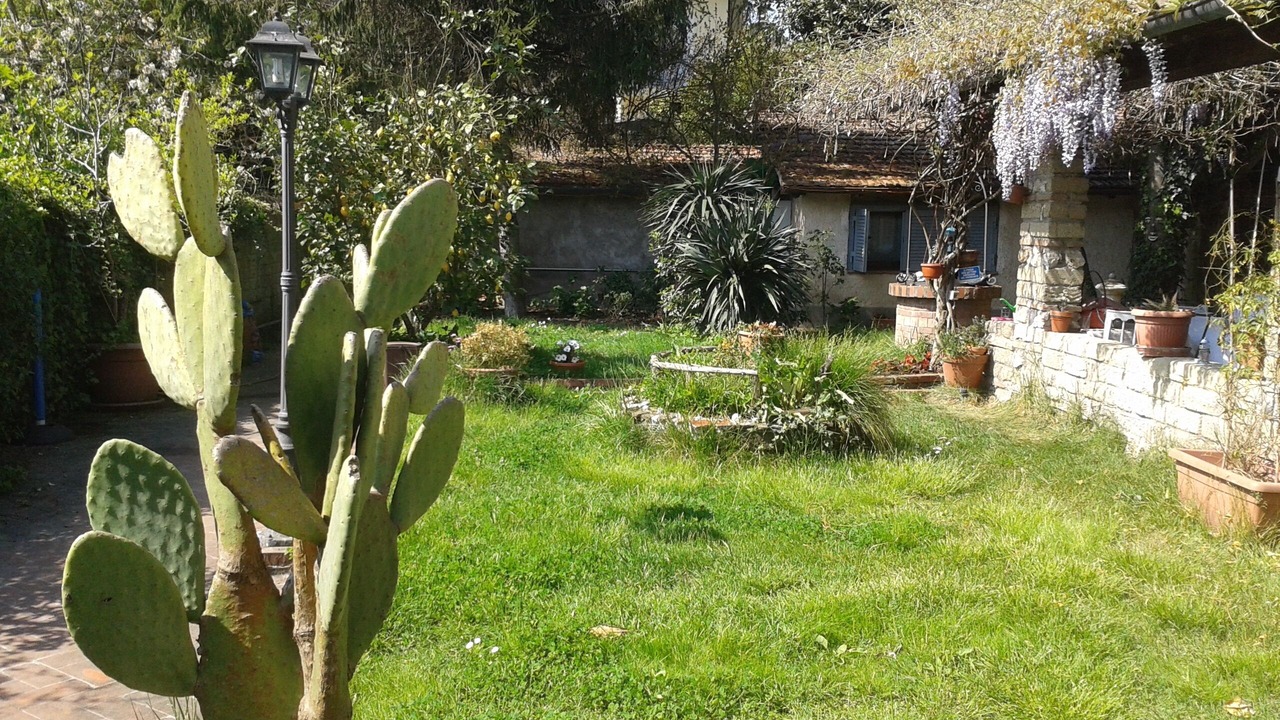 Photo of Outdoor in Monte Caminetto