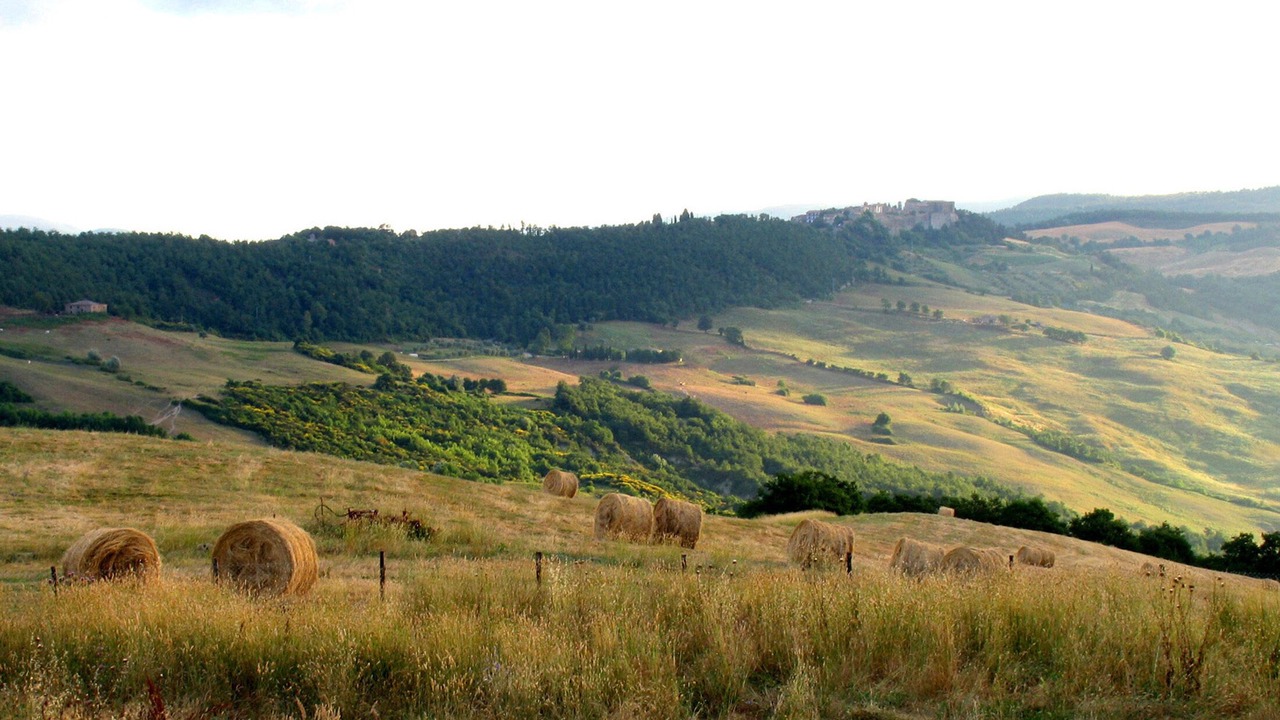 Photo of Others in Il Poggio