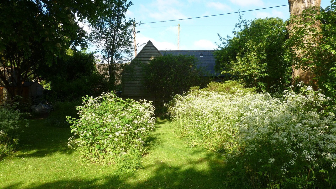 Photo of Outdoor in Northmoor