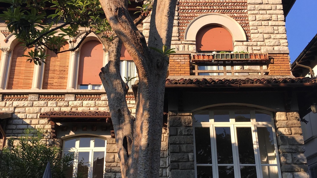 Photo of Outdoor in Iseo
