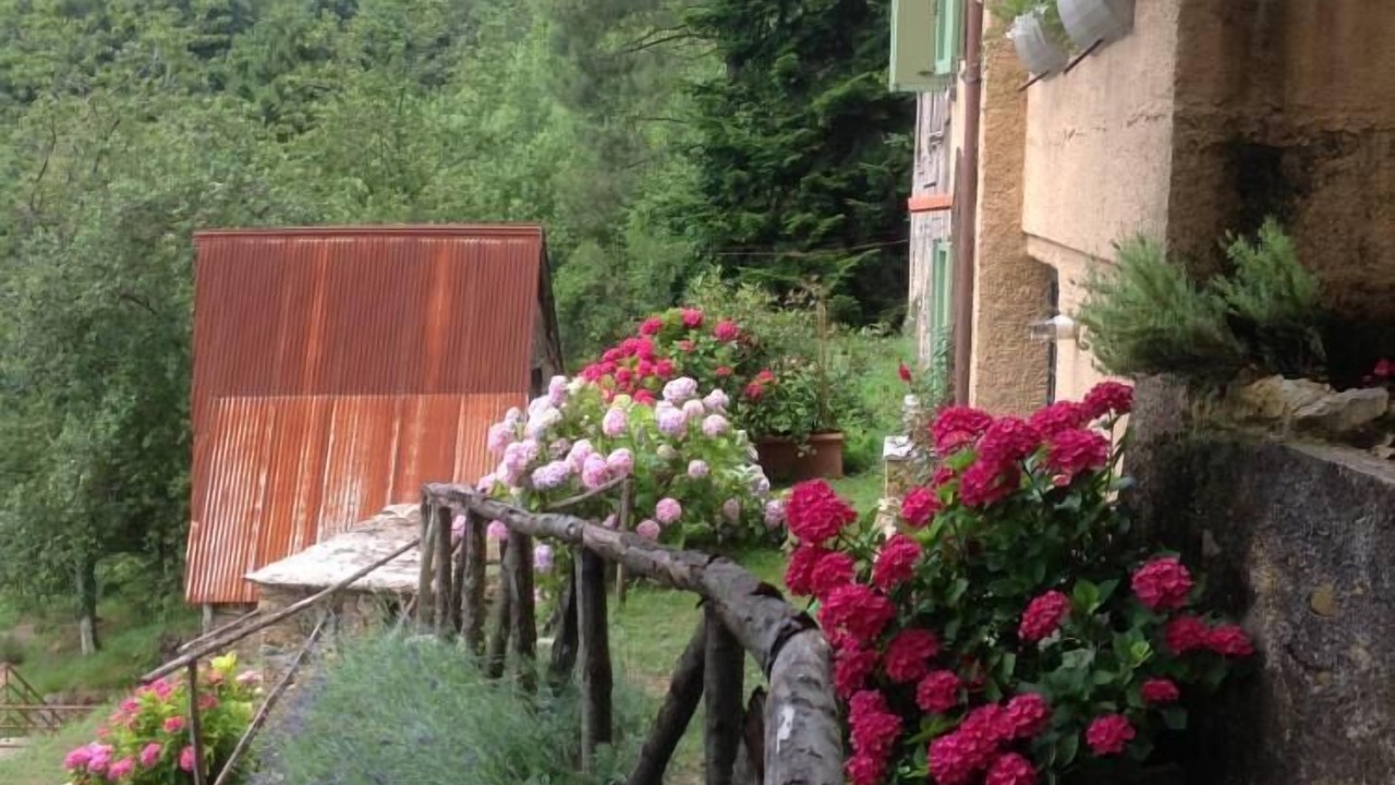 Photo of Outdoor in Stazzema