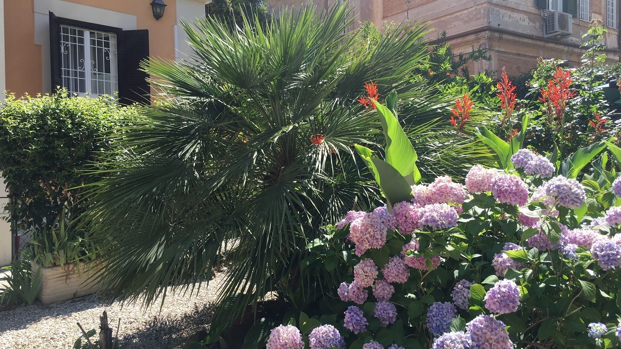 Photo of Outdoor in Gianicolense