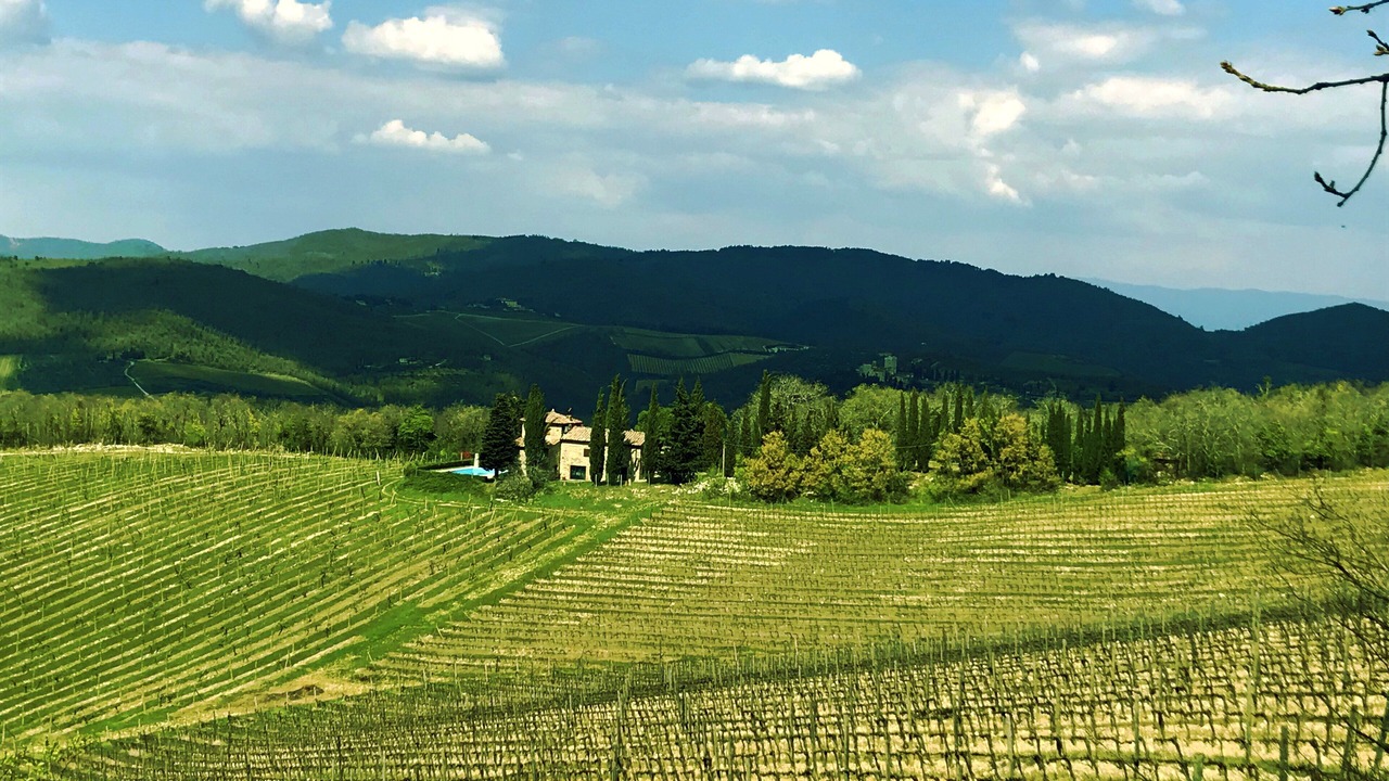 Photo of Others in Gaiole in Chianti