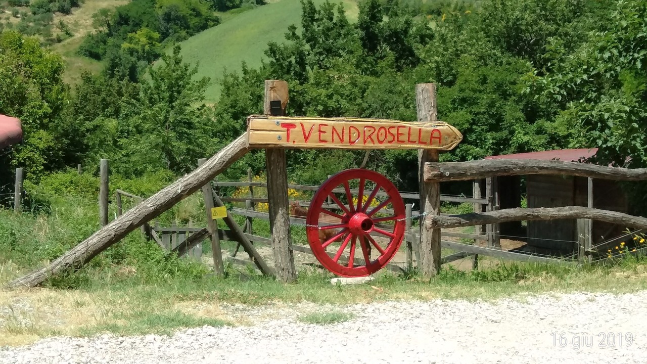 Photo of Outdoor in Monteciccardo