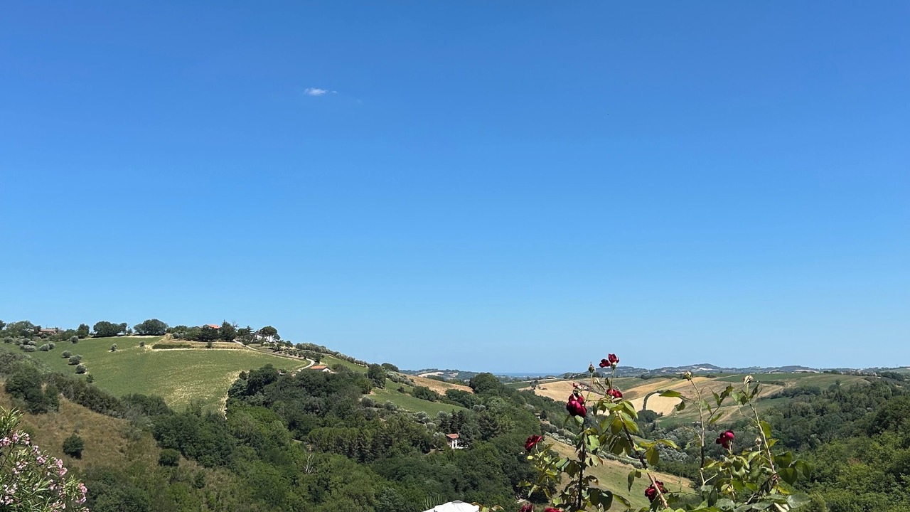 Photo of Outdoor in Monteciccardo