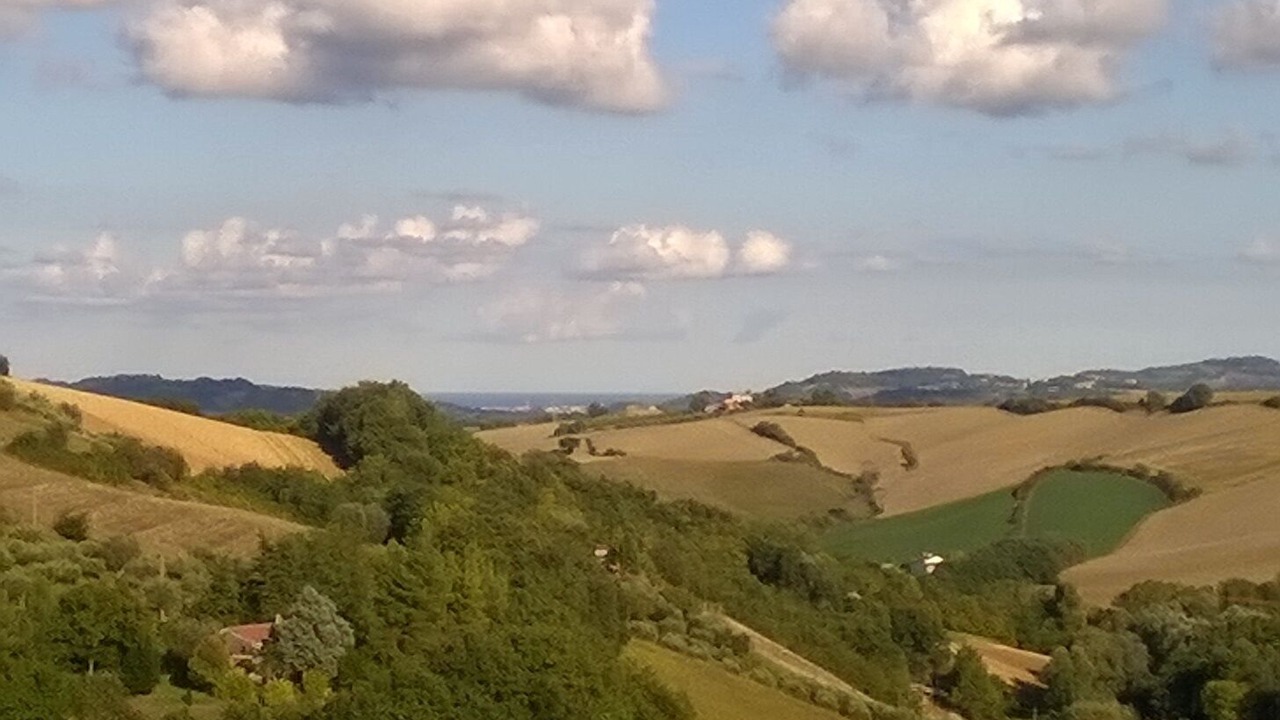 Photo of Outdoor in Monteciccardo