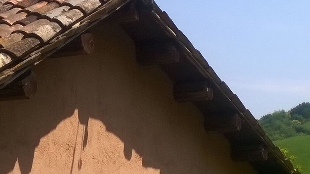 Photo of Outdoor in Monteciccardo