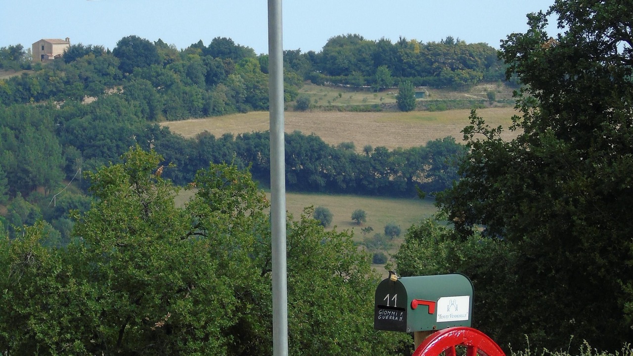 Photo of Outdoor in Monteciccardo