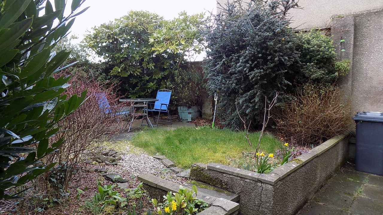 Photo of Outdoor in Leven