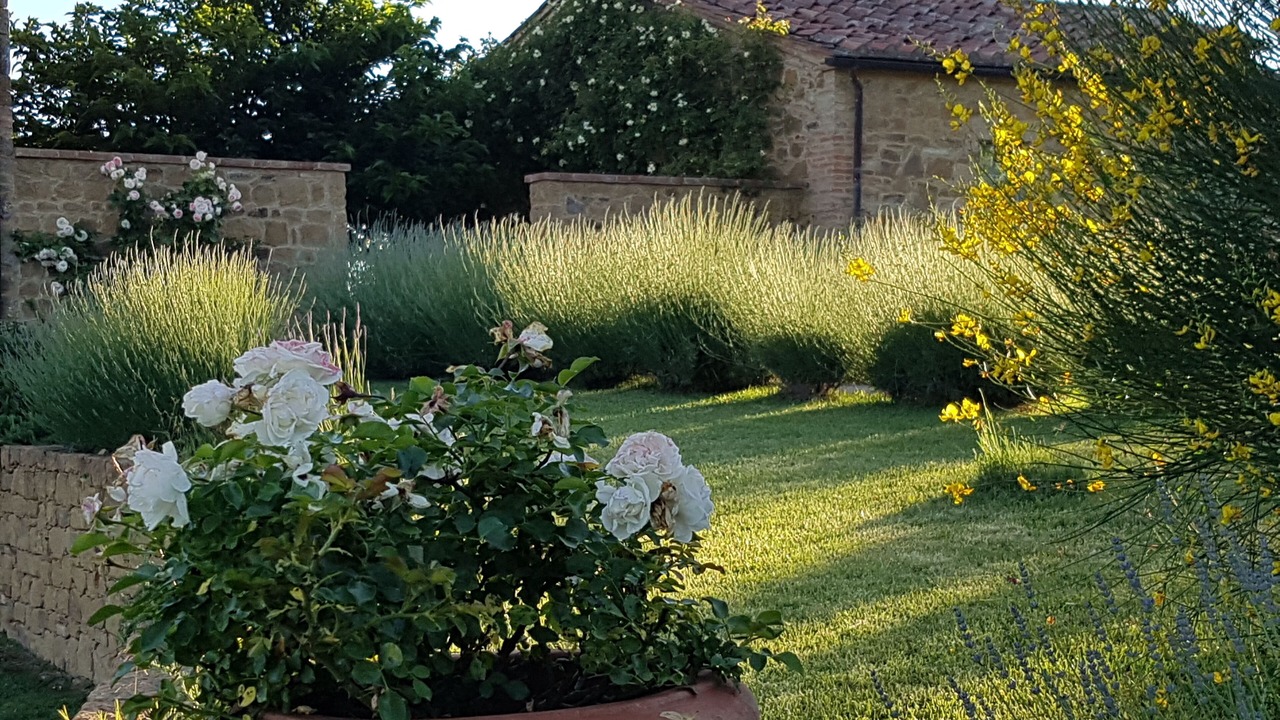 Photo of Outdoor in Torrita di Siena