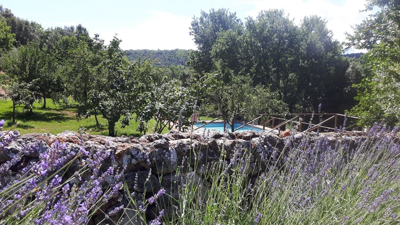 Photo of Others in Simignano
