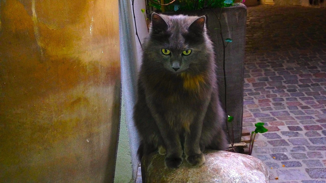 Photo of Outdoor in Old Town
