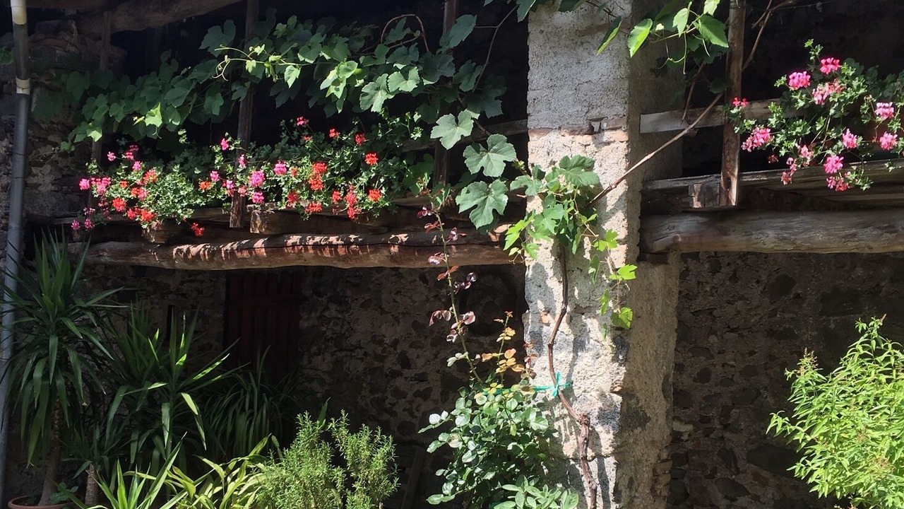 Photo of Outdoor in Idro