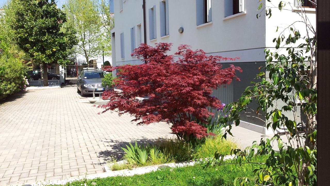 Photo of Outdoor in Marghera