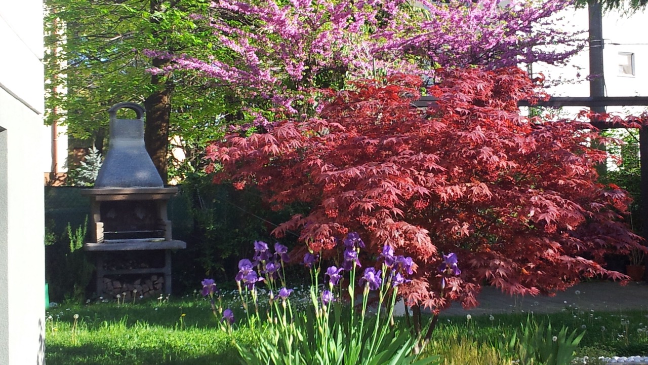 Photo of Outdoor in Marghera