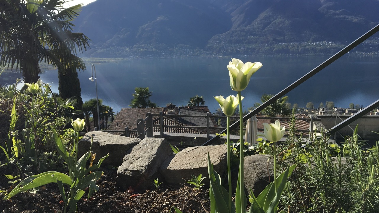 Photo of Outdoor in Brione sopra Minusio