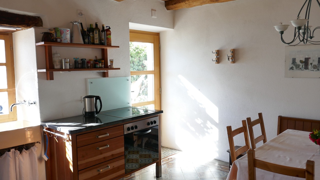 Photo of Kitchen in Brione sopra Minusio