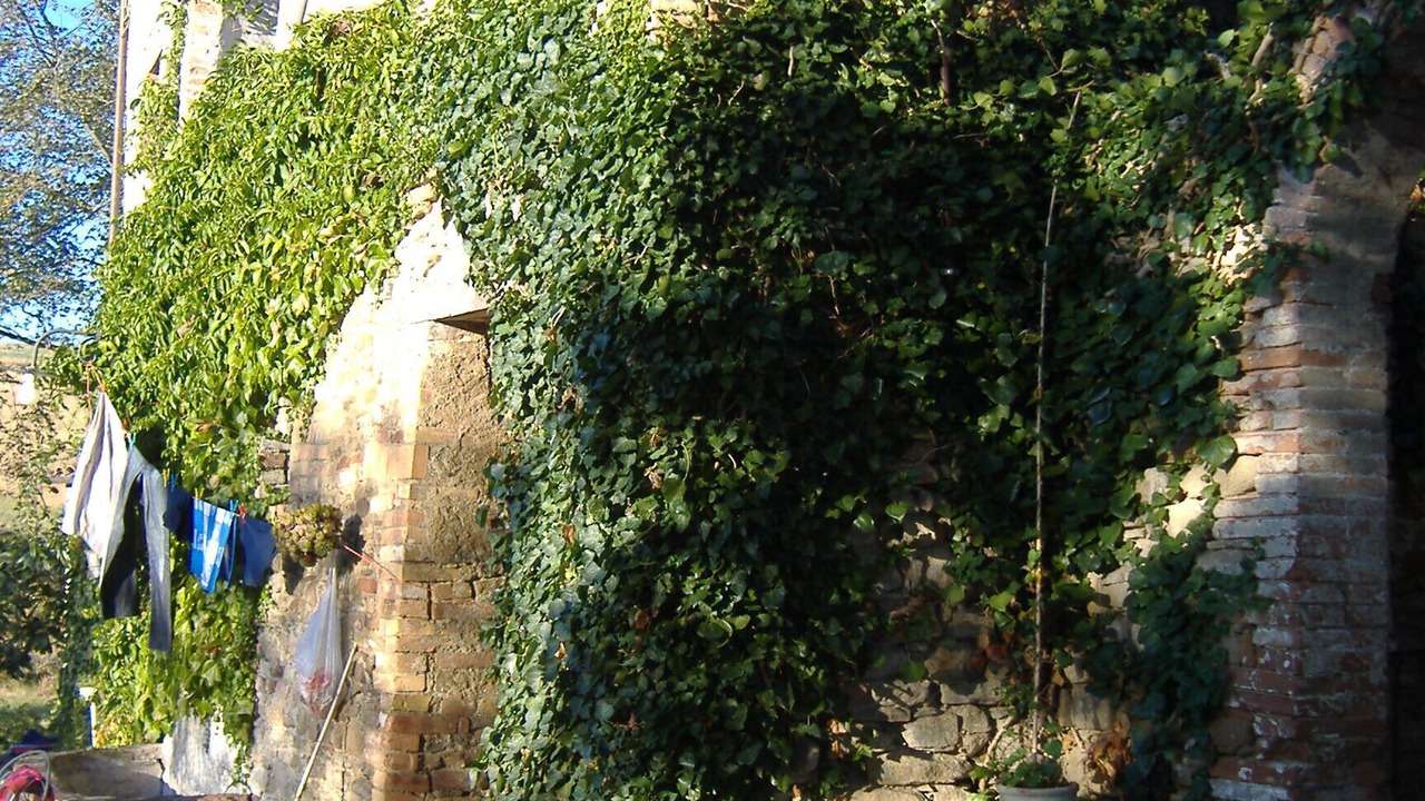 Photo of Outdoor in Piandimeleto
