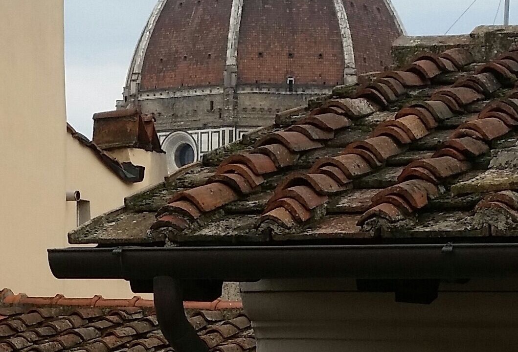 Photo of Others in San Lorenzo