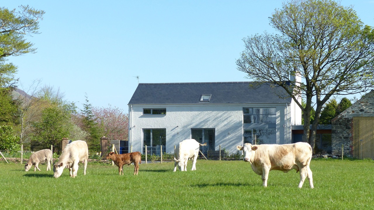 Photo of Others in Limavady