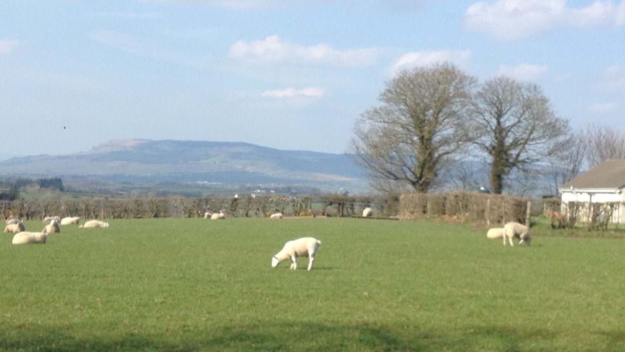 Photo of Others in Limavady