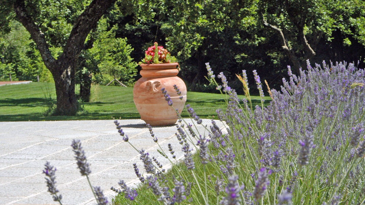 Photo of Outdoor in Saturnana