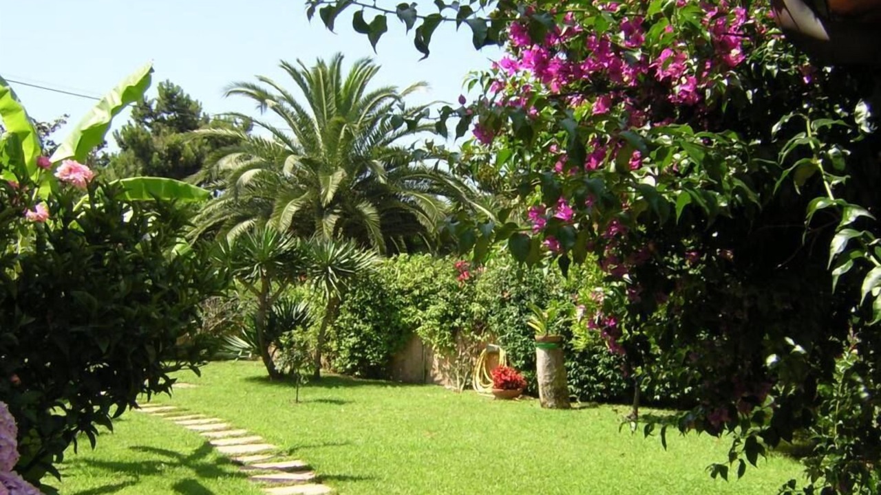 Photo of Outdoor in Ardea