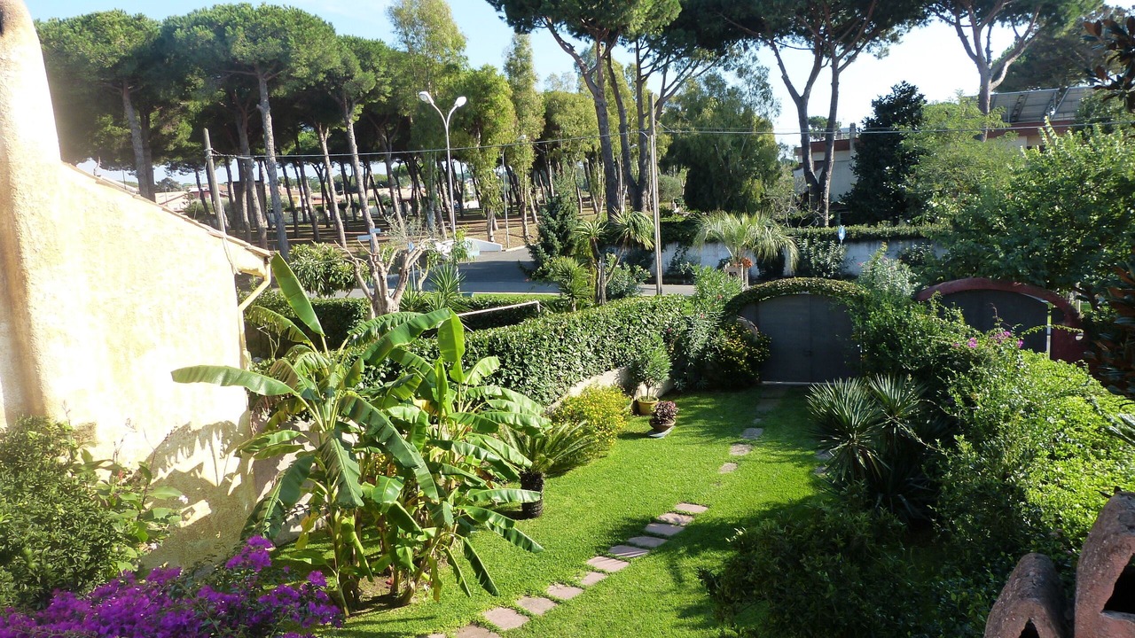Photo of Outdoor in Ardea