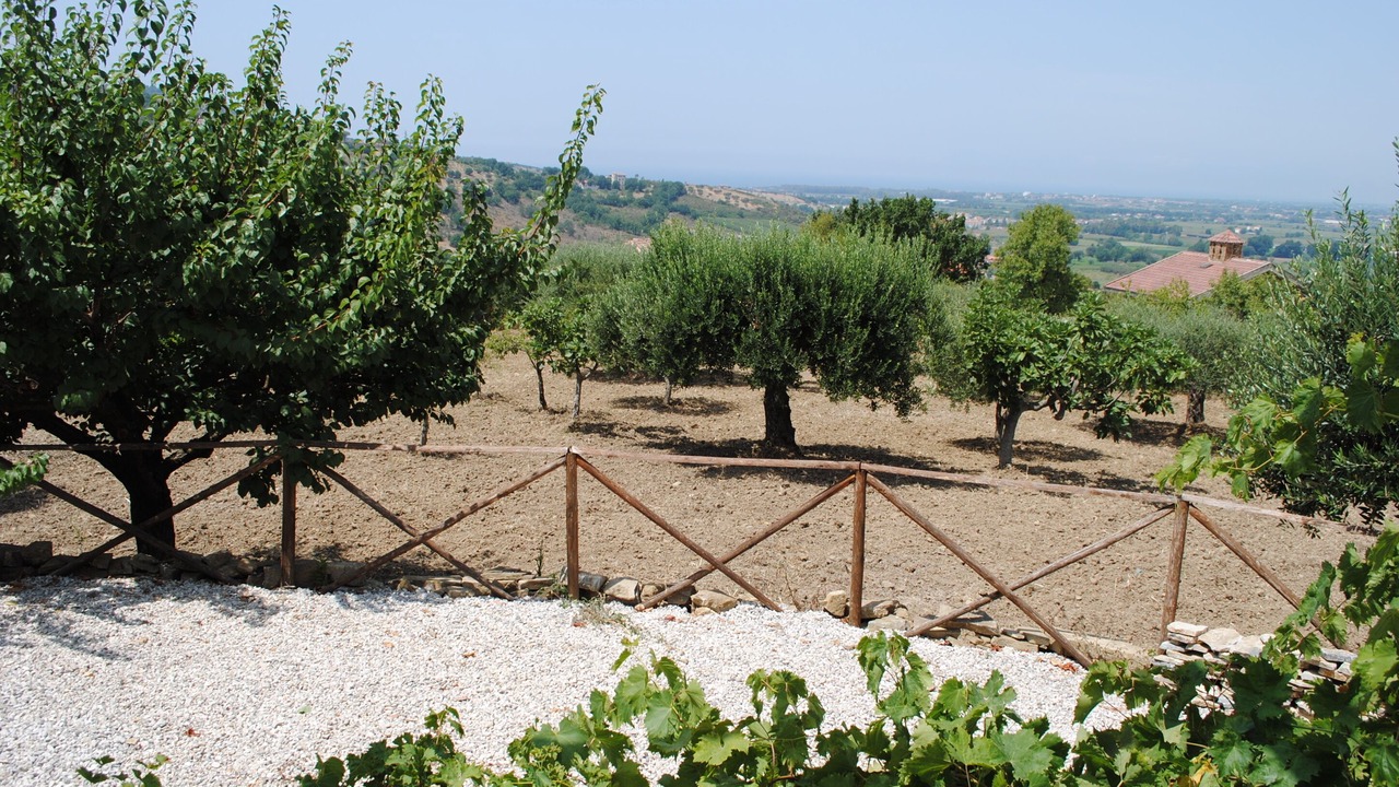Photo of Outdoor in Ogliastro Cilento