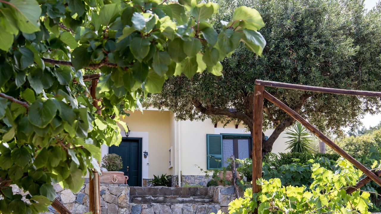 Photo of Outdoor in Ogliastro Cilento