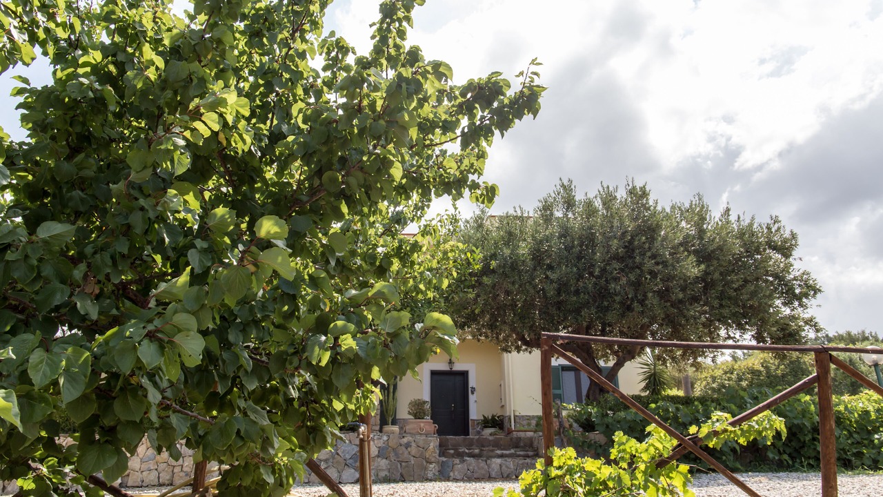 Photo of Outdoor in Ogliastro Cilento