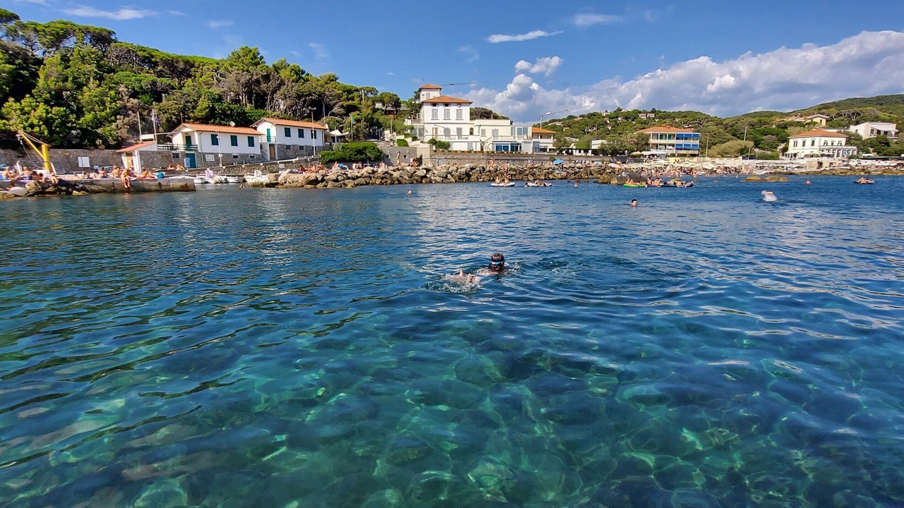 Photo of Others in Quercianella